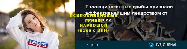 бошки Абаза