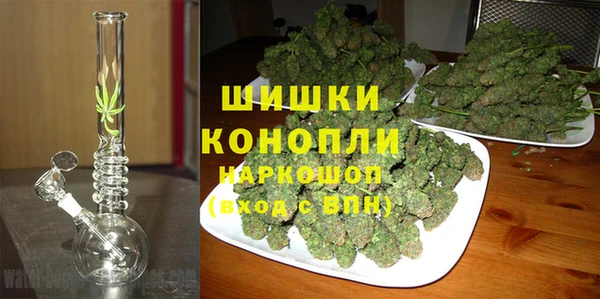 шишки Алзамай