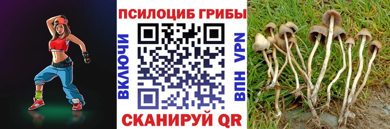 блэк спрут зеркало  Чулым  Псилоцибиновые грибы прущие грибы 